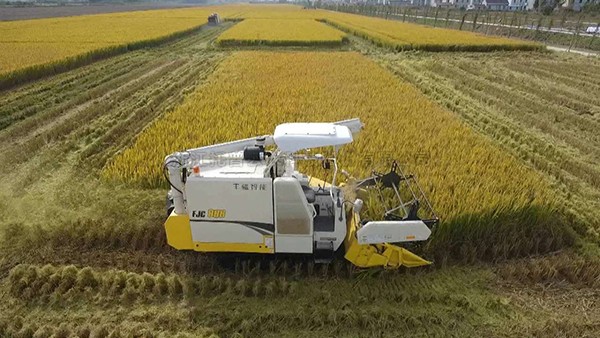 江蘇海門：打造數(shù)字化高標(biāo)準(zhǔn)農(nóng)田，為鄉(xiāng)村振興蓄勢(shì)賦能