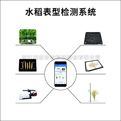 水稻表型檢測系統(tǒng) 水稻表型檢測系統(tǒng)