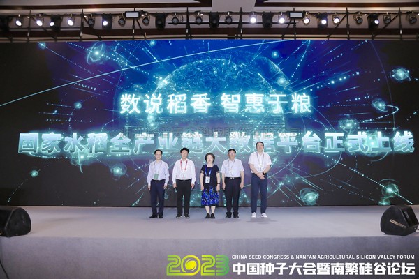 如何走穩(wěn)中國“稻”路？科技賦能水稻全產(chǎn)業(yè)鏈發(fā)展