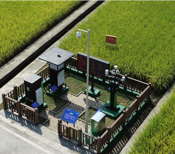 建設(shè)高標(biāo)準農(nóng)田，促進農(nóng)業(yè)綠色高效發(fā)展