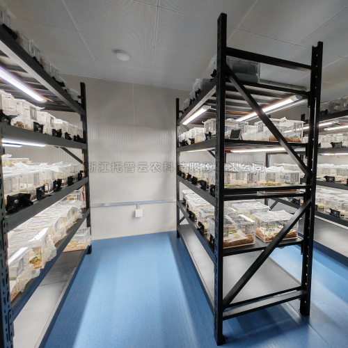 養(yǎng)蟲(chóng)室 /