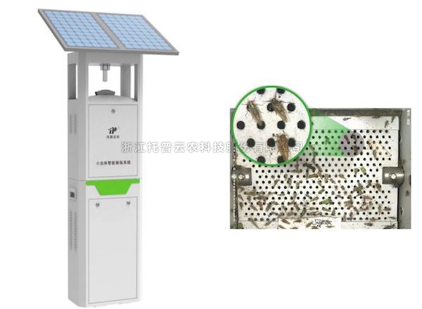 托普云農小蟲體智能測報系統(tǒng)：彌補蟲類測報短板 推動害蟲綠色防控