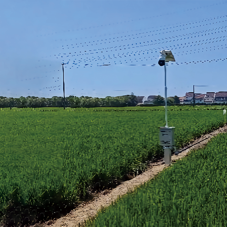 自動趕蛾智能統(tǒng)計桿TP-GESB2.0