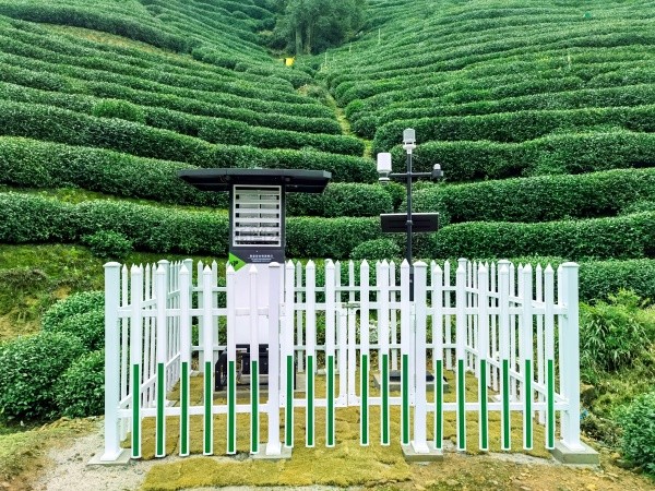 托普云農(nóng)發(fā)布“問(wèn)稷茶數(shù)”智能體，賦能茶產(chǎn)業(yè)數(shù)智升級(jí)