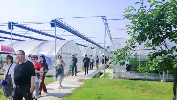 培訓(xùn)班頂著酷暑考察蕭山區(qū)農(nóng)科所臨浦基地 培訓(xùn)班頂著酷暑考察蕭山區(qū)農(nóng)科所臨浦基地