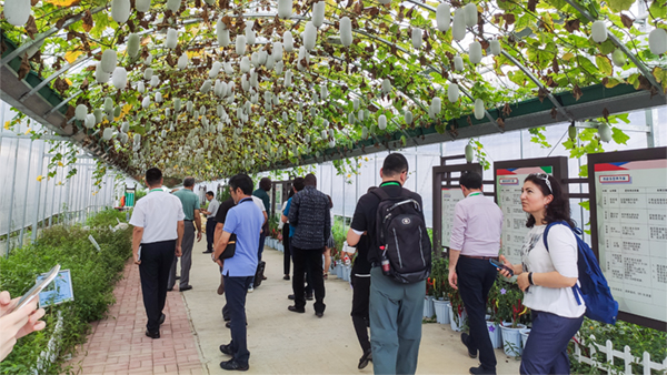 多個(gè)國家農(nóng)業(yè)領(lǐng)導(dǎo)與專家在觀摩研討 多個(gè)國家農(nóng)業(yè)領(lǐng)導(dǎo)與專家在觀摩研討