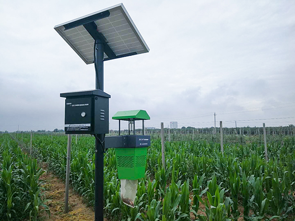 風吸式殺蟲燈 風吸式殺蟲燈