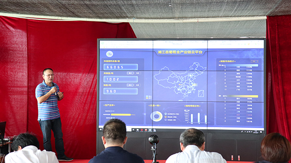 浙江森特浦江縣葡萄全產(chǎn)業(yè)鏈云平臺展示 浙江森特浦江縣葡萄全產(chǎn)業(yè)鏈云平臺展示