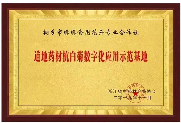 道地藥材杭白菊數(shù)字化應(yīng)用示范基地