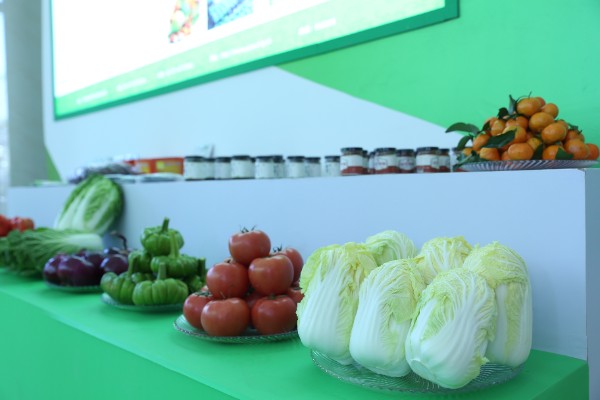 推介會現(xiàn)場 推介會現(xiàn)場