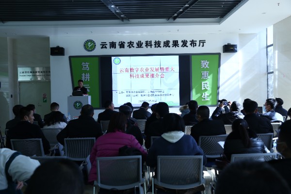 推介會現(xiàn)場 推介會現(xiàn)場