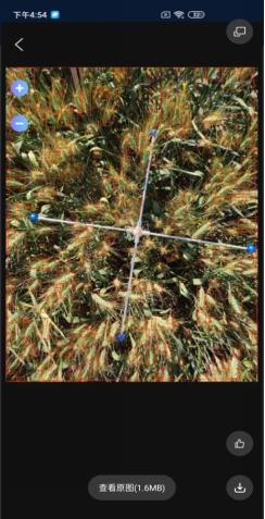 小麥畝穗數(shù)測量系統(tǒng)軟件界面 小麥畝穗數(shù)測量系統(tǒng)軟件界面