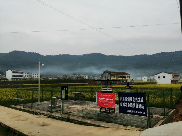 托普云農病蟲害監(jiān)測點