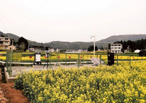 托普云農病蟲害監(jiān)測點