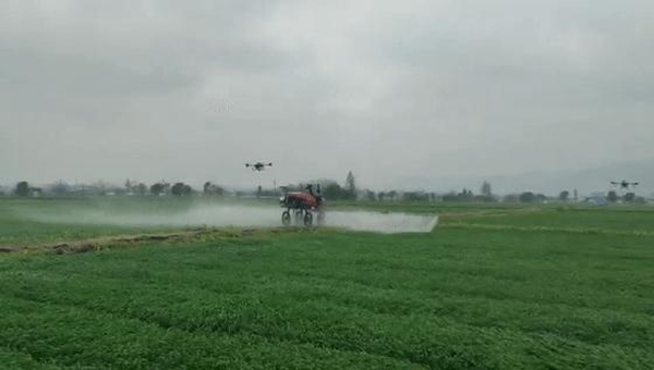 無人駕駛插秧機(jī) 無人駕駛插秧機(jī)