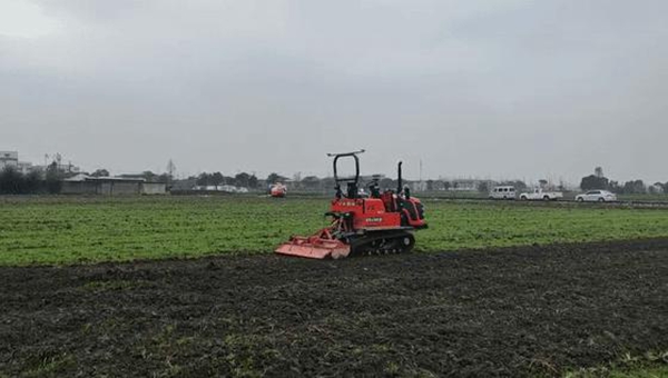 1615801401902127.jpg 圖片3.jpg