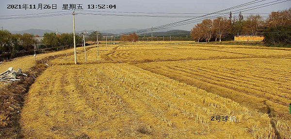 1639372300183243.png 圖片3.png