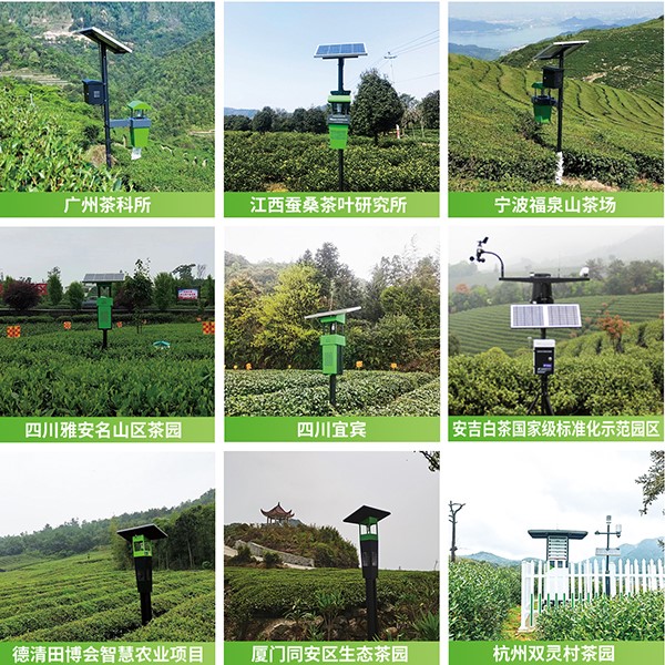 托普云農(nóng)茶園綠色防控技術(shù)方案應(yīng)用 托普云農(nóng)茶園綠色防控技術(shù)方案應(yīng)用