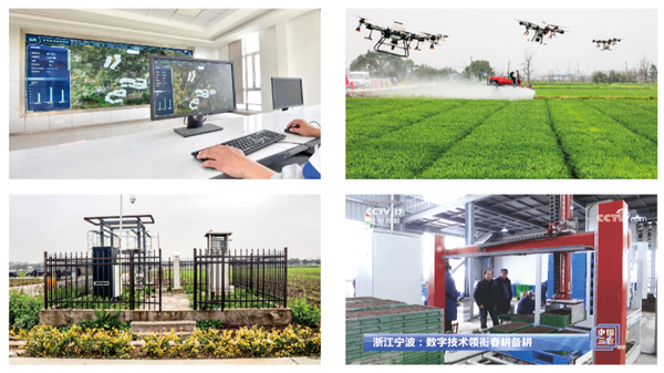 寧波海曙古林數(shù)字大田