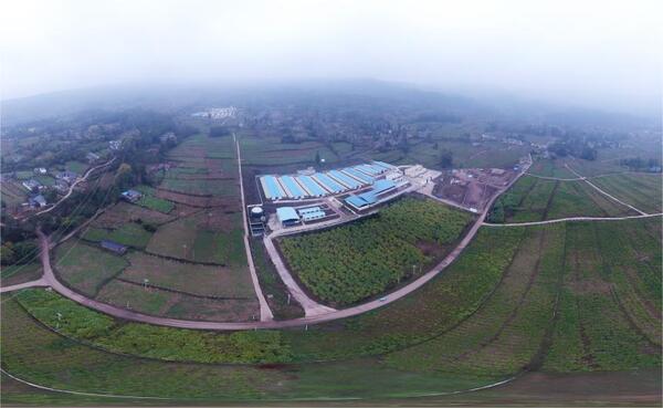 扎根四川，托普云農(nóng)為農(nóng)業(yè)數(shù)字化發(fā)展服務(wù)