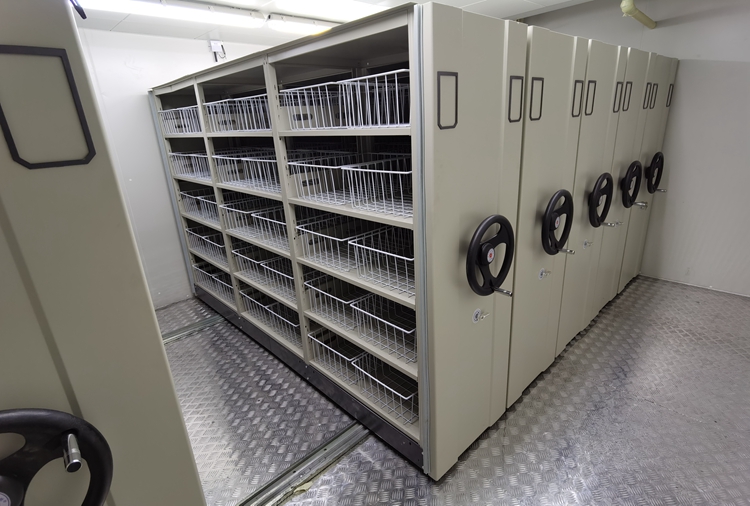 種質(zhì)庫(kù)