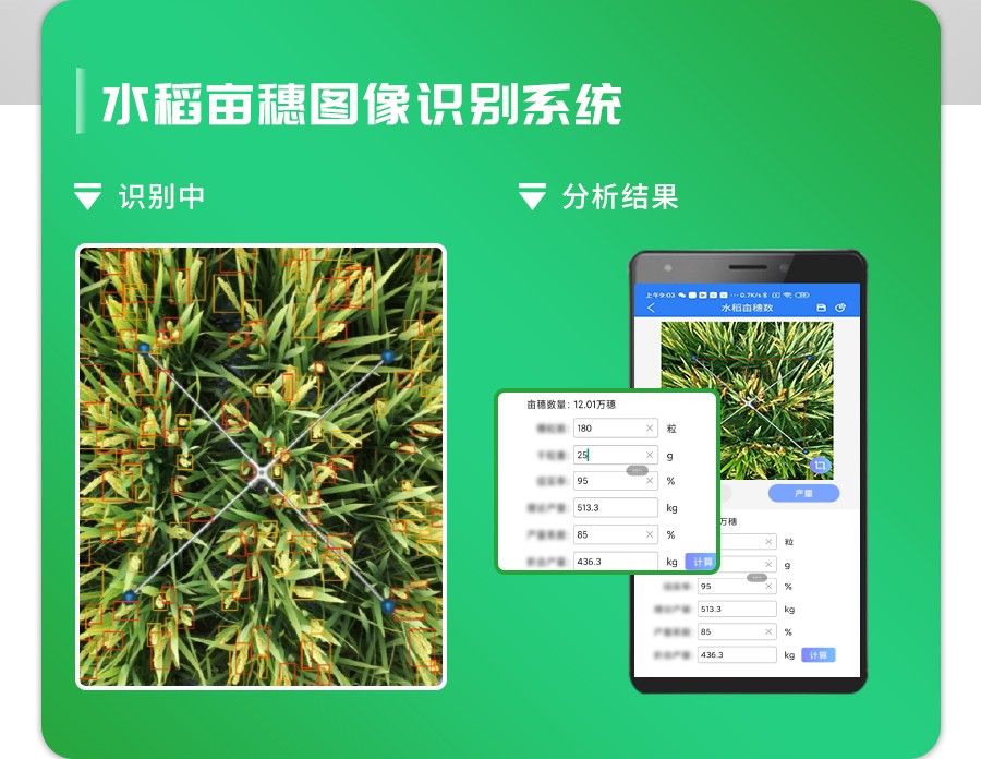 水稻畝穗數(shù)測(cè)量系統(tǒng) 水稻畝穗數(shù)測(cè)量系統(tǒng)
