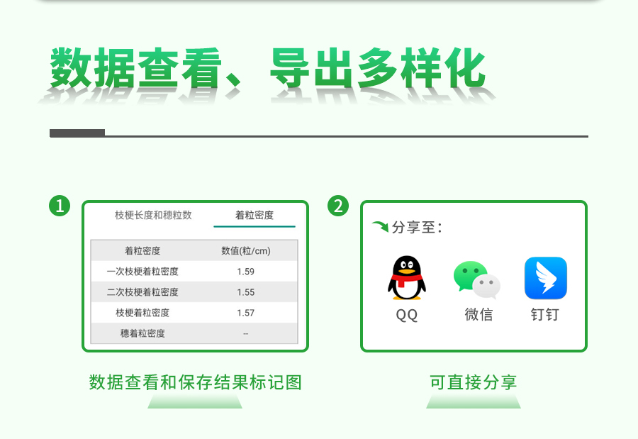 水稻整穗考種測(cè)量系統(tǒng)