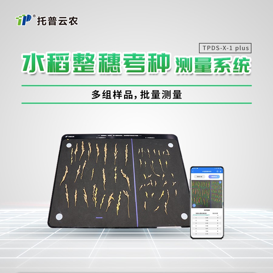 水稻整穗考種測(cè)量系統(tǒng)