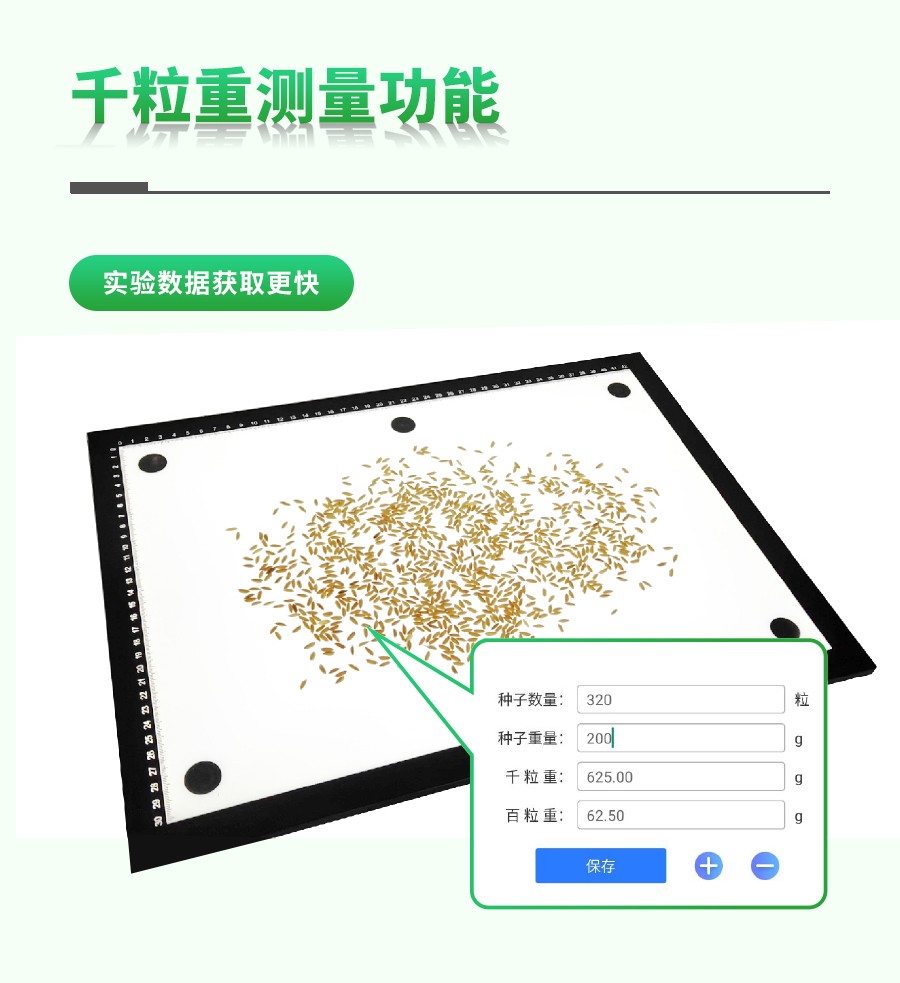 水稻整穗考種測(cè)量系統(tǒng)