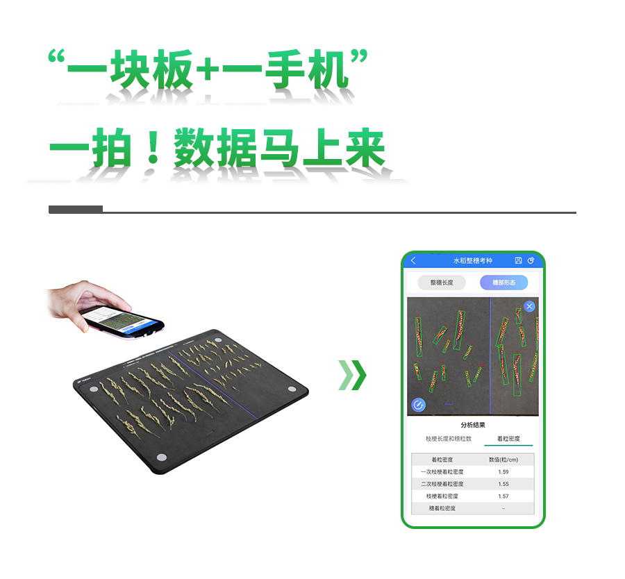 水稻整穗考種測(cè)量系統(tǒng)