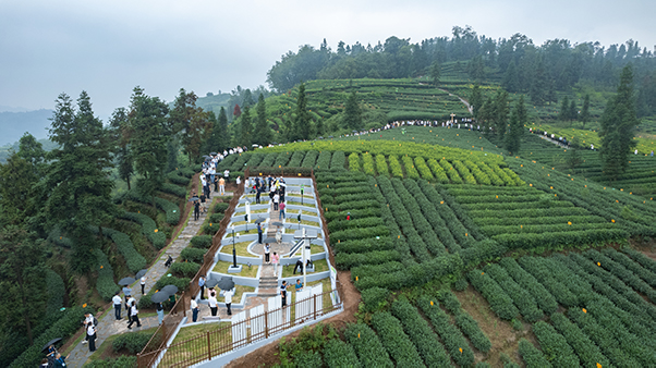 1695197184170701.jpg SEO用圖4.jpg