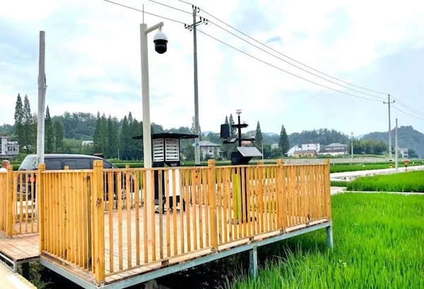 1711776817836807.jpg 臨安太陽鎮(zhèn)數(shù)字化高標(biāo)準(zhǔn)農(nóng)田實景圖.jpg