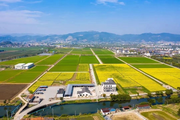 1713950269292691.jpg 3寧波海曙古林?jǐn)?shù)字大田.jpg