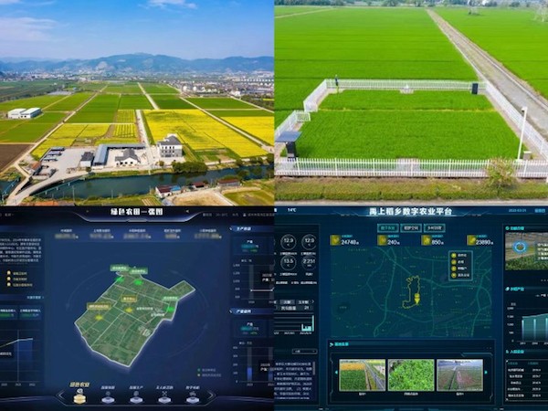 1714380808909371.jpeg 3.jpeg