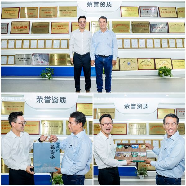 1716539232255680.jpg SEO (6).jpg