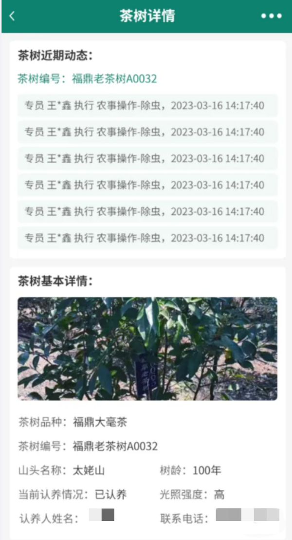 1716886384122121.png 8認(rèn)養(yǎng)茶樹(shù)_副本.png