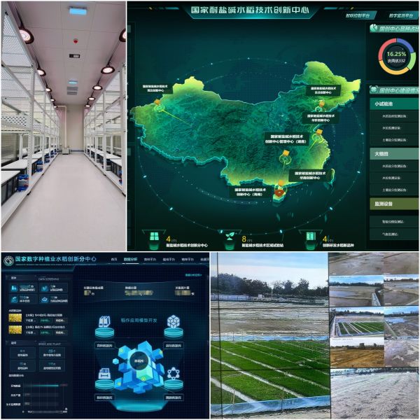 1724318416171282.jpg SEO (5).jpg