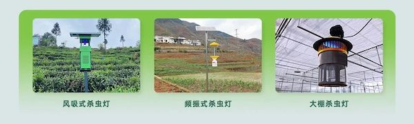 1727597629577255.jpeg 9.jpeg