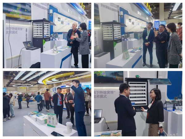 1732614605753186.jpg 拼圖.jpg