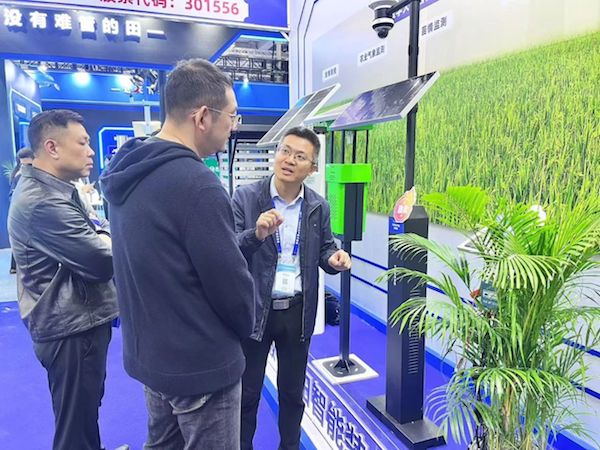 1733106122702850.jpg 8.jpg