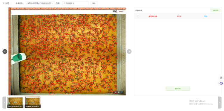 1735611932119113.png 3.誘捕番茄潛葉蛾820頭.png