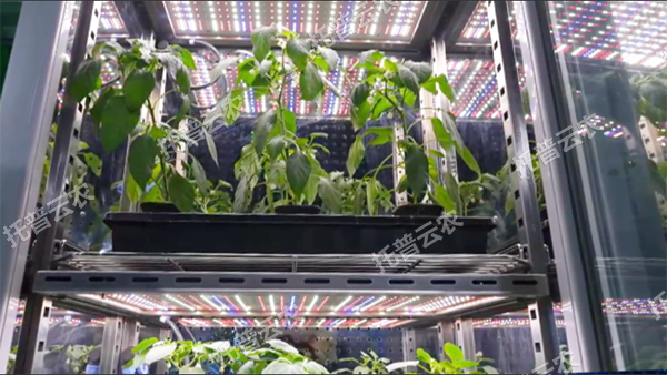 1744708291184099.png 圖片3.png