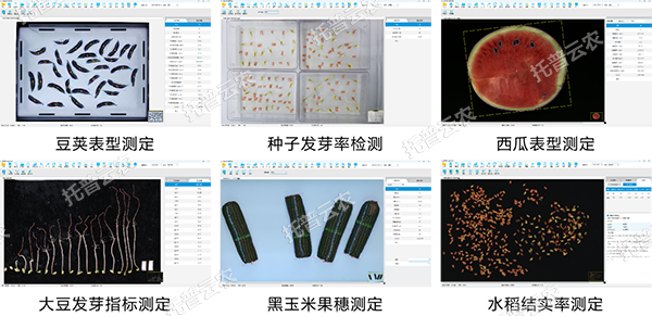 1745227948667292.png 圖片5.png