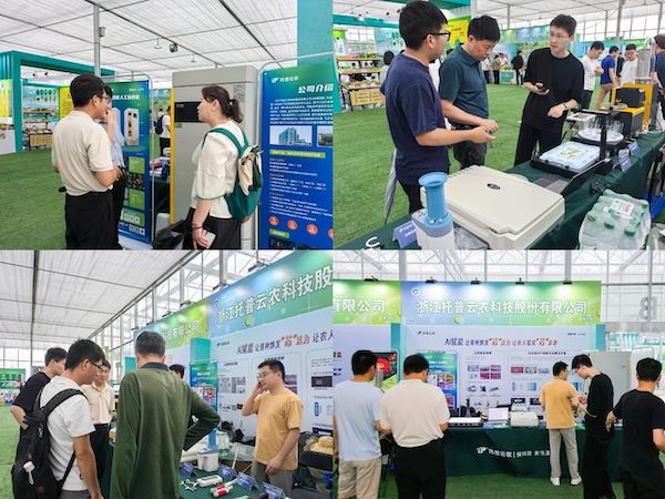 1747818159389811.jpg 5.jpg