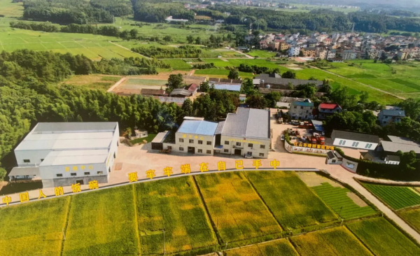 1749605000138820.png 圖片1.png