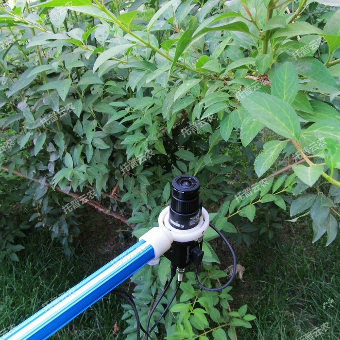 1757057856456110.jpg 植物冠層TOP-1300.JPG