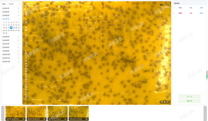 智能識別 自動計數(shù).png