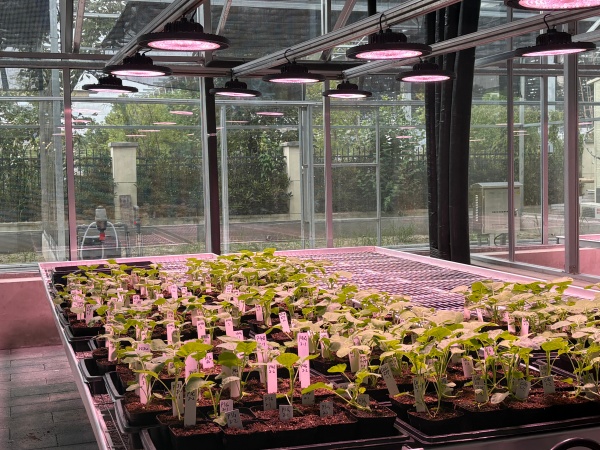 1761901226234565.jpg 圖四_副本.jpg