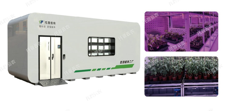 1762743548375367.jpg 1_3.jpg