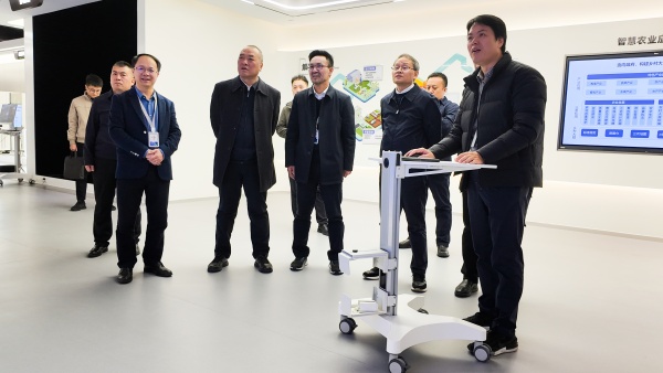 1764060953275474.jpg SEO.jpg